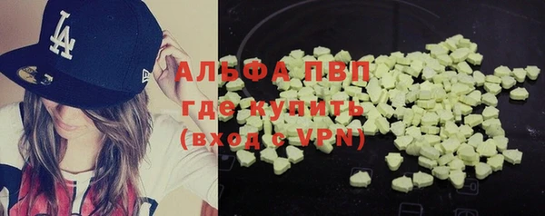 прущие грибы Володарск