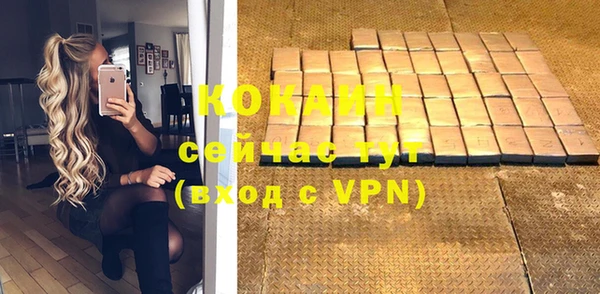 прущие грибы Володарск