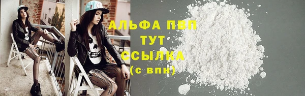 прущие грибы Володарск